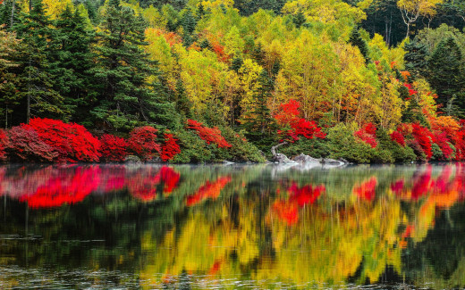 963227 (a): :2560x1600